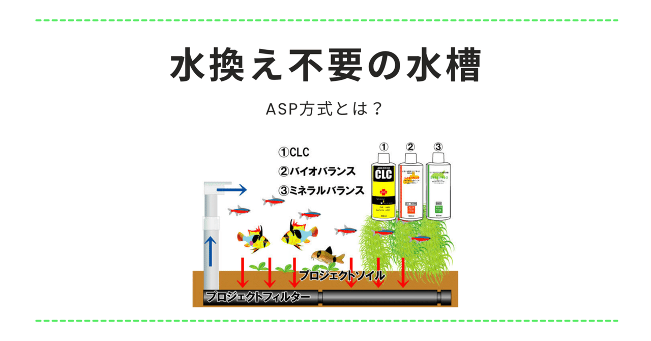 ASP方式とは 【水換え不要の水槽システム】｜アクアステージ21 SUNAMO ...