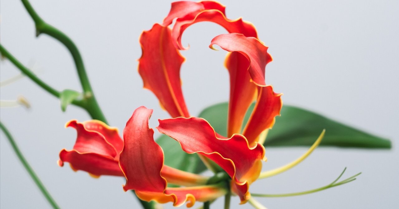 rectangle_large_type_2_aa22684