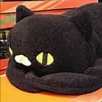 にぼ太