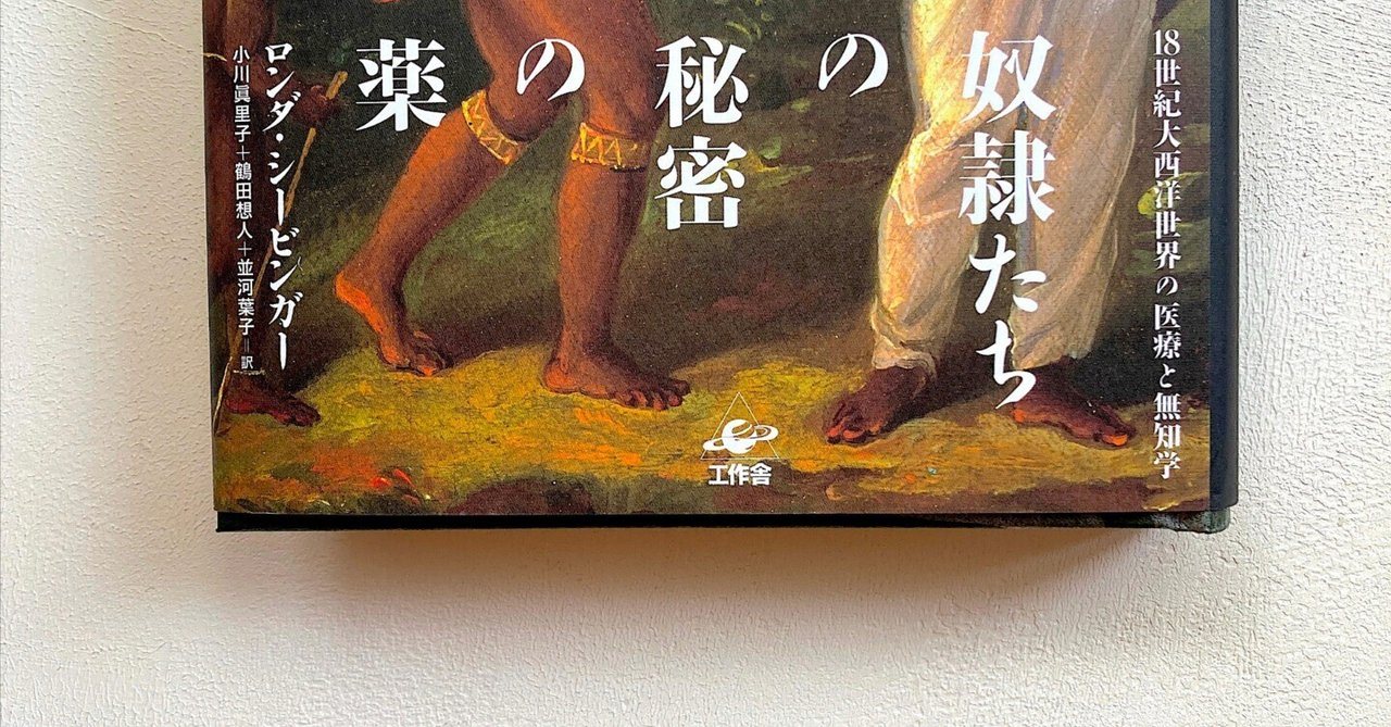 訳者が読み解く『奴隷たちの秘密の薬』#2 鶴田想人〈「秘密」の