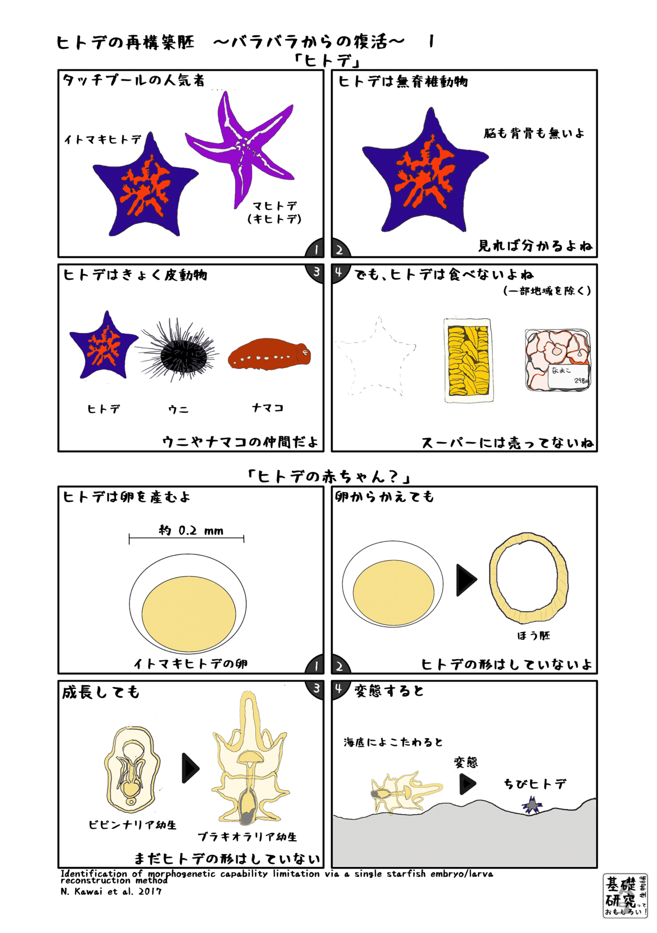 A5書き出し用ヒトデの再構築1