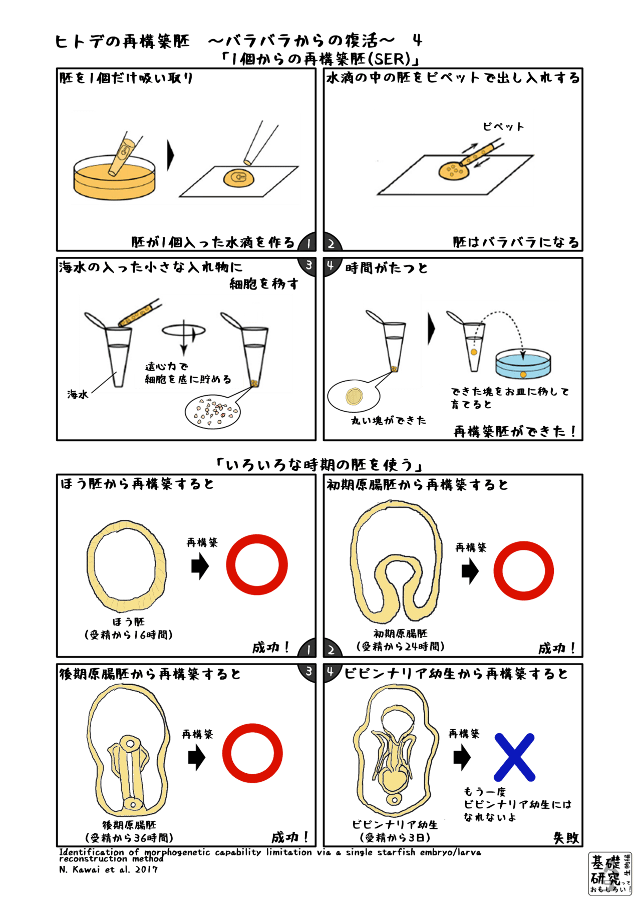 A5書き出し用ヒトデの再構築4