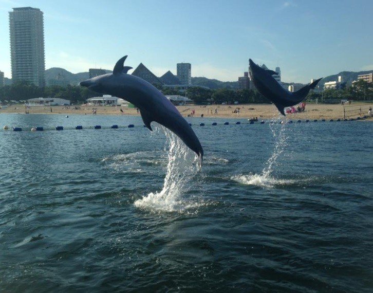 マガジンのカバー画像