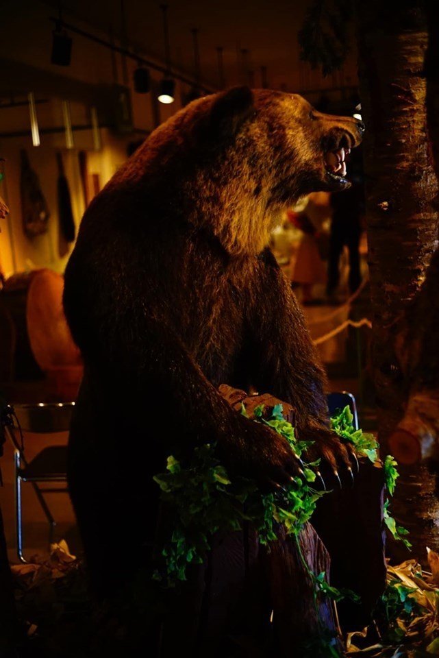 幻の 熊爪 (種名:ヒグマ 通称:コディアック) ベアクロー 熊の爪 恐怖こそが