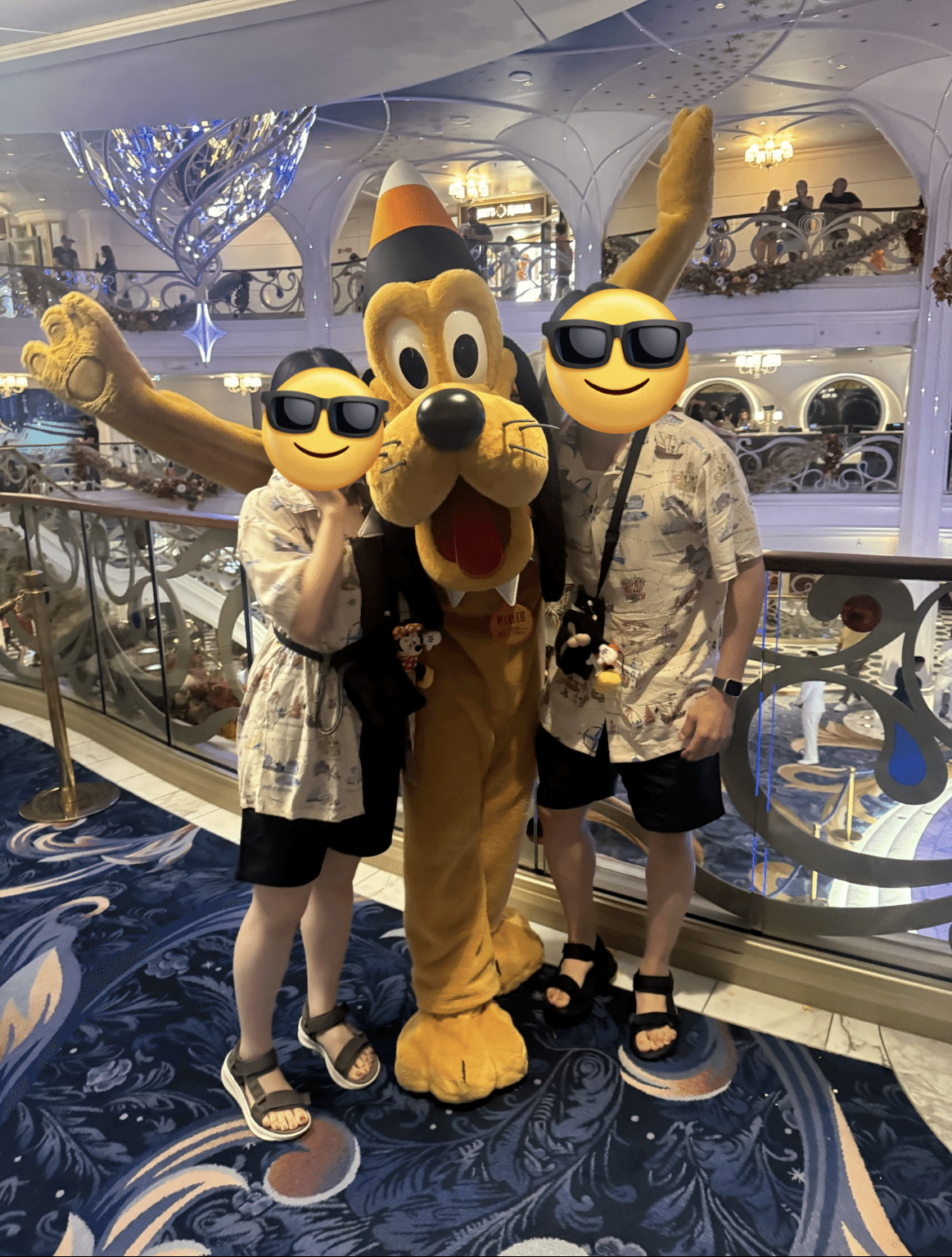 ディズニークルーズ　乗船記念額 Disney Adventureのクルーズ予約