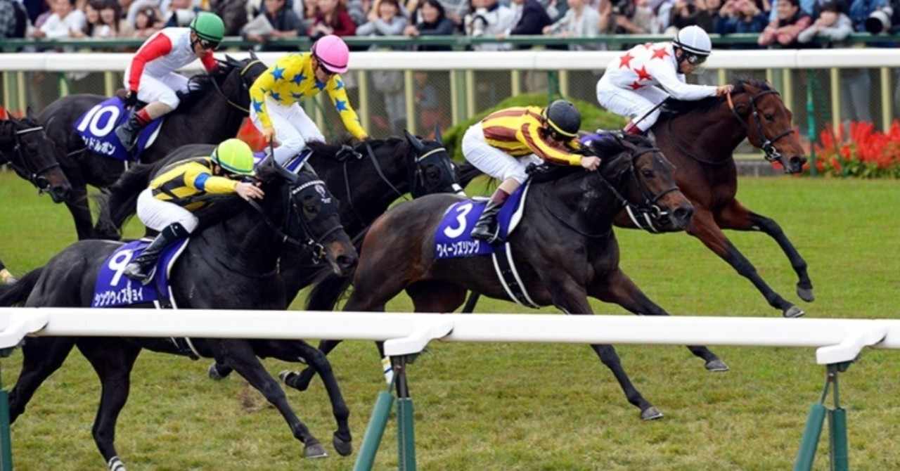 アルメリア ブルーム