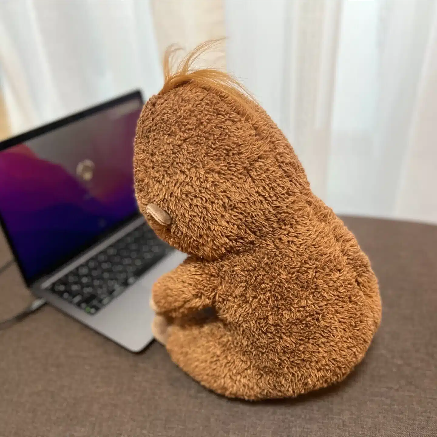 おらうの部屋