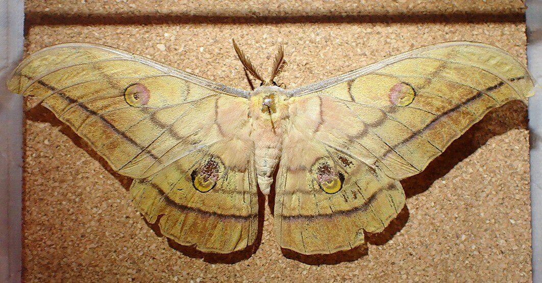 f9da2fe597f94522db34a00bf56570