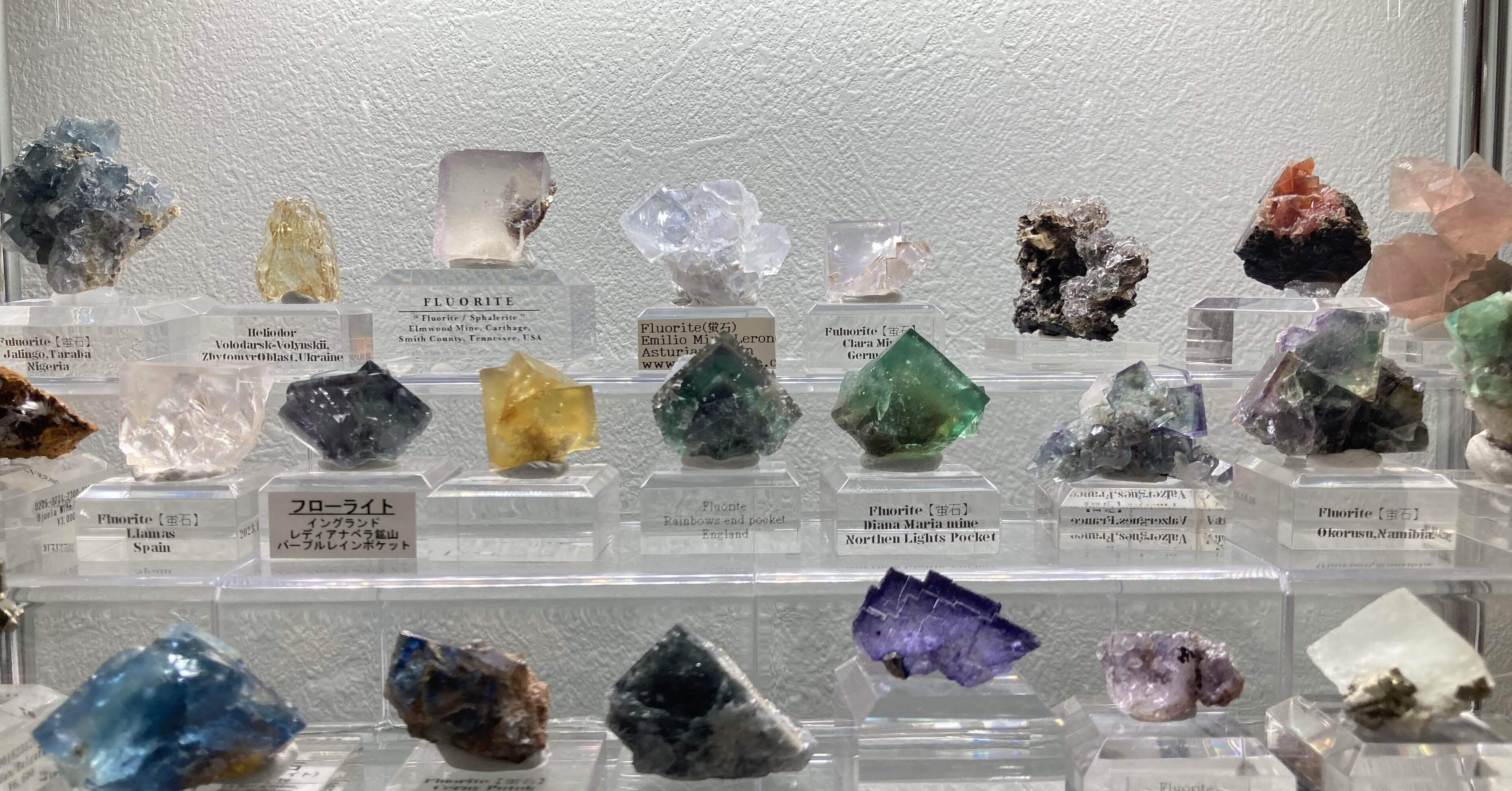 鉱物標本 鉱物標本にハマって1年が経ってた｜トトリ