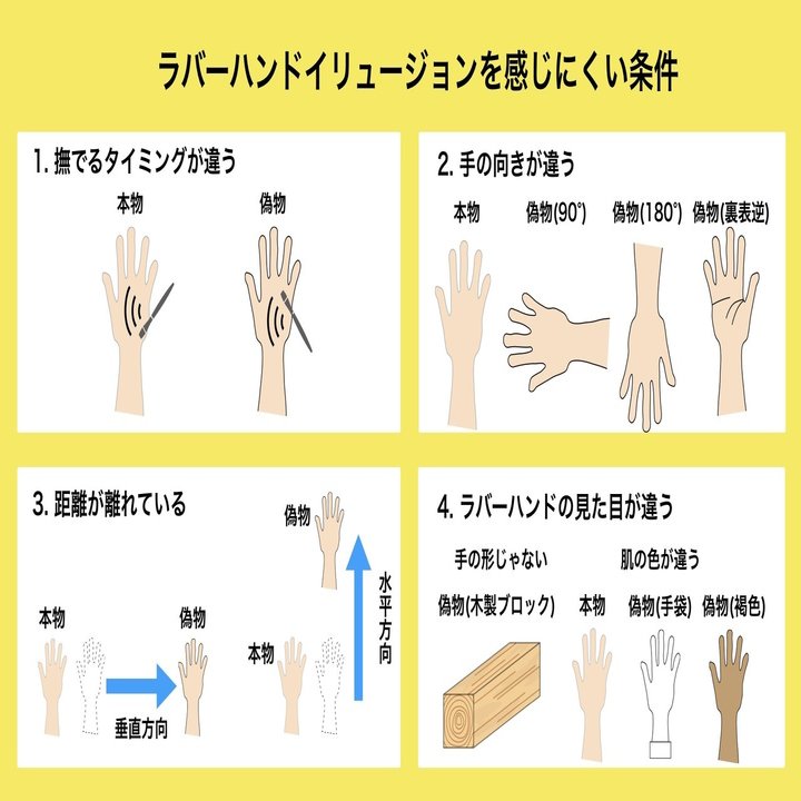 自己帰属感 身体所有感 研究まとめ ラバーハンドイリュージョン基礎編 Zawa Works Note