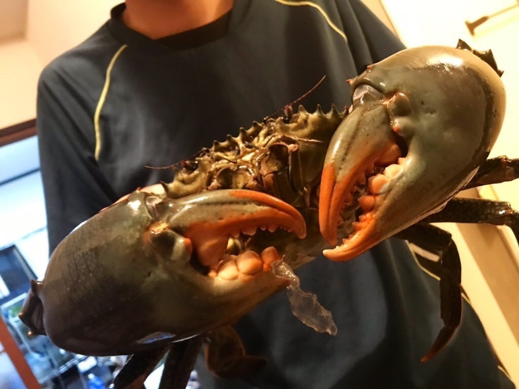鹿児島料理記録~魚介編~｜マツダミキヲ 料理人