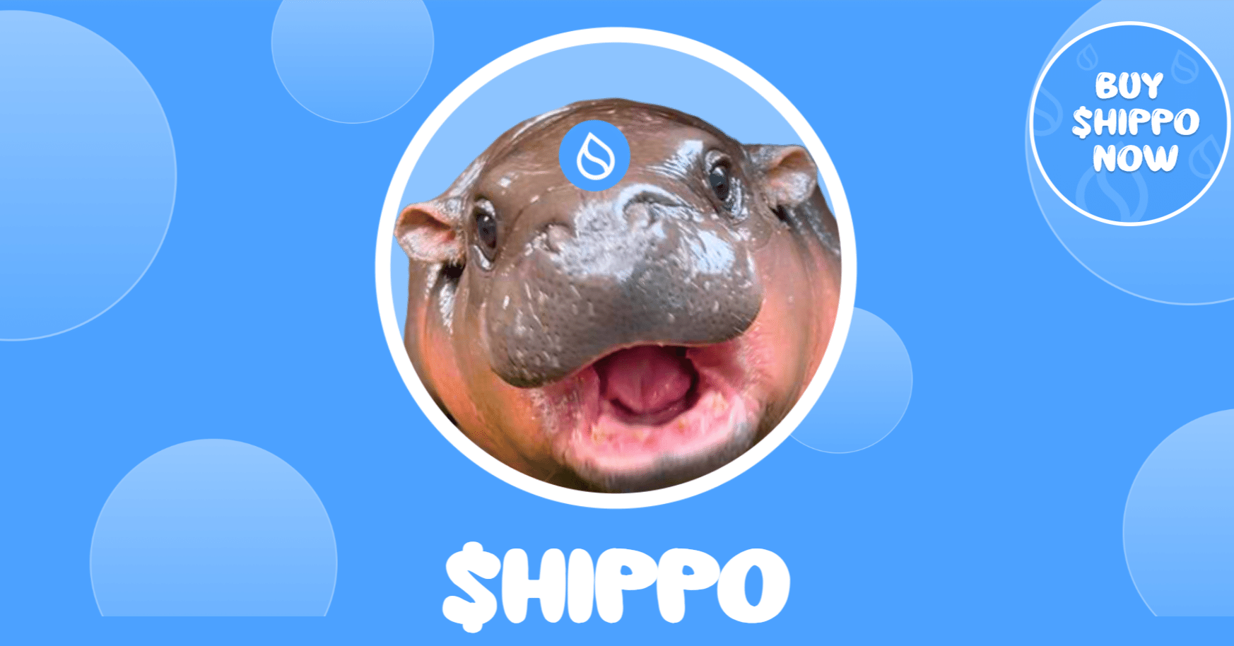 初めてSUIミームコイン買うならどれよ？鉄板3選「HIPPO、BLUB、FUD」おさらい｜がく