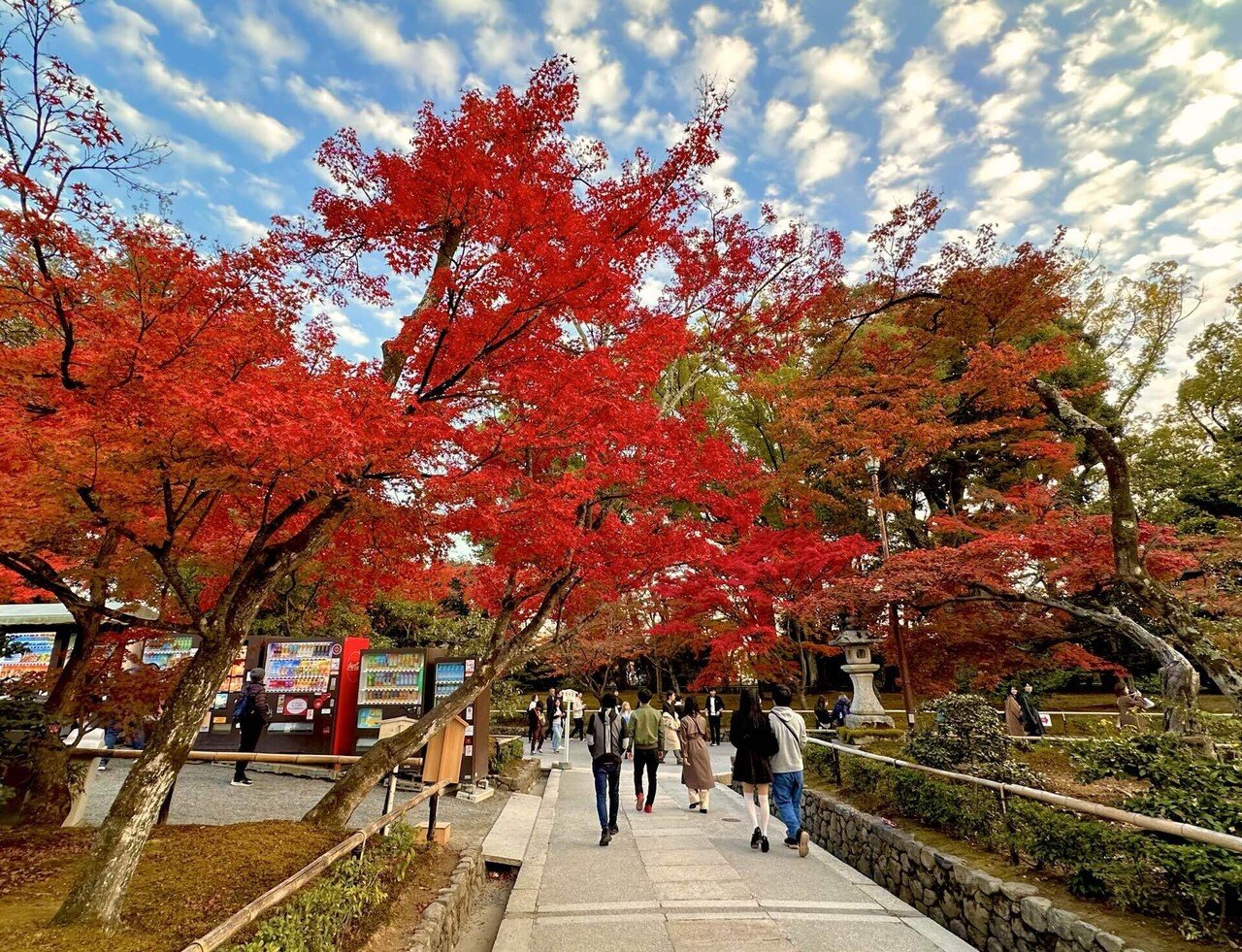 京都へ！紅葉を見に行ったひとり旅｜佐宗大介＠旅と散歩と写真と