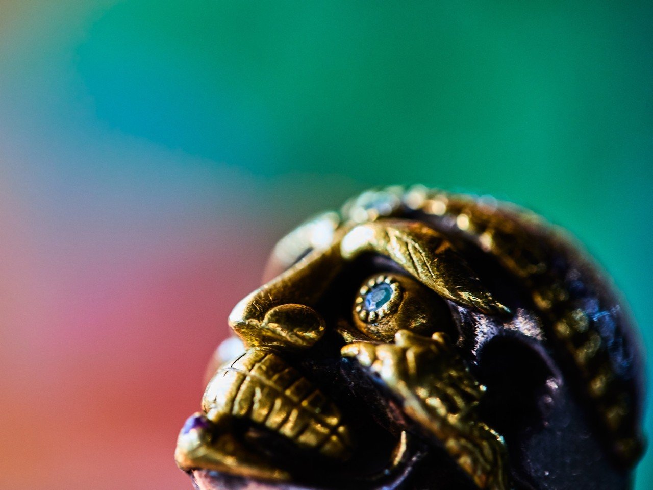 Tibetan Monk Skull : チベタンスカル｜高良和晶@zocalo.jp