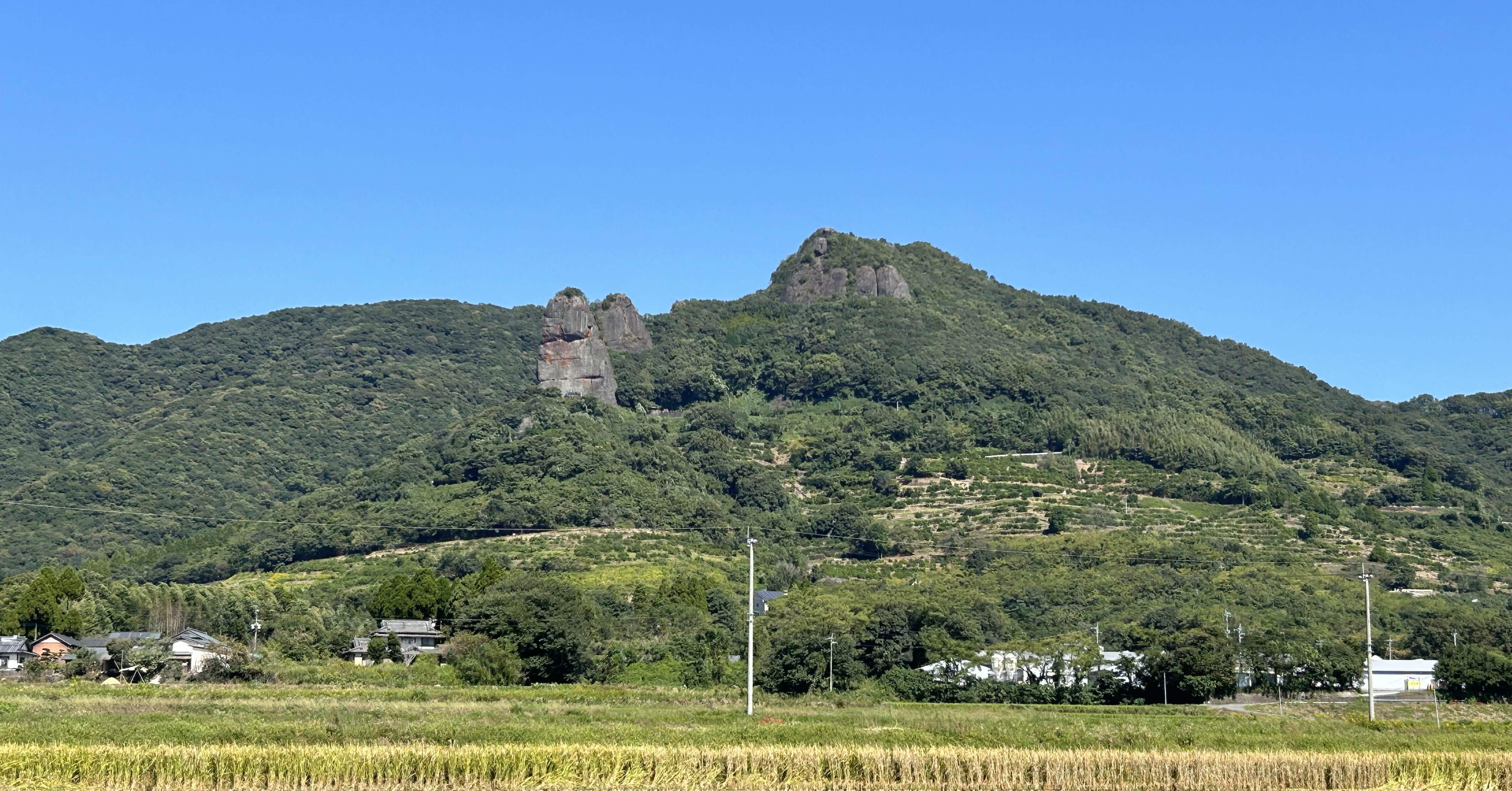 3490f025a93147d212f2e2af4b7dcf