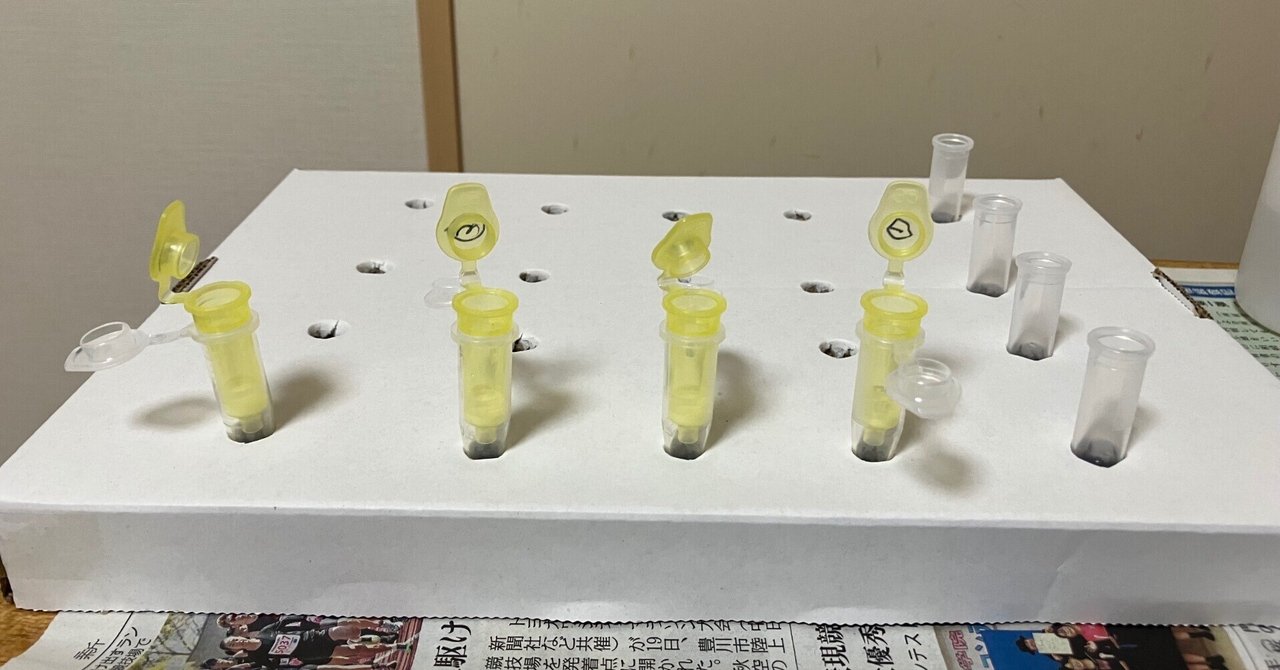 ＤＮＡ鑑定とタイピング 遺伝学・デ-タベ-ス・計測技術・デ-タ検証・品質管  /共立出版/ジョン・Ｍ．バトラ-（単行本） DNA鑑定とタイピング 遺伝学・データベース・計測技術