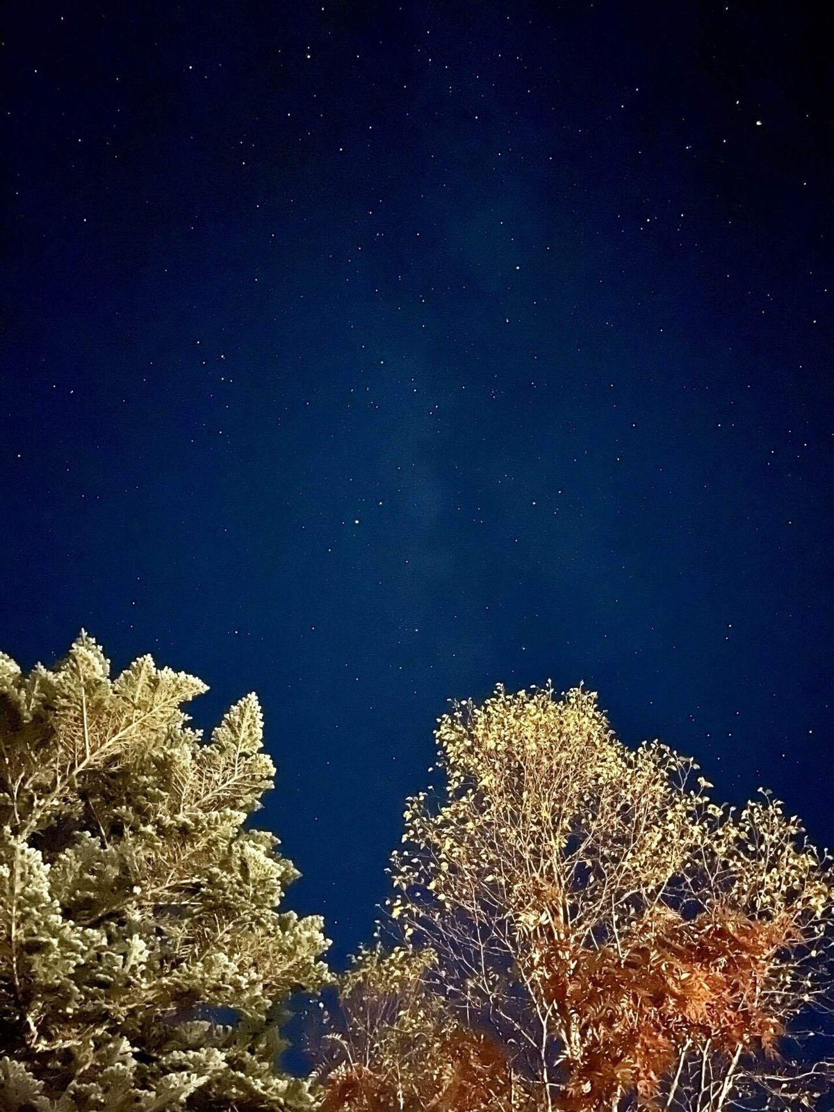 オーレン小屋から見える星空