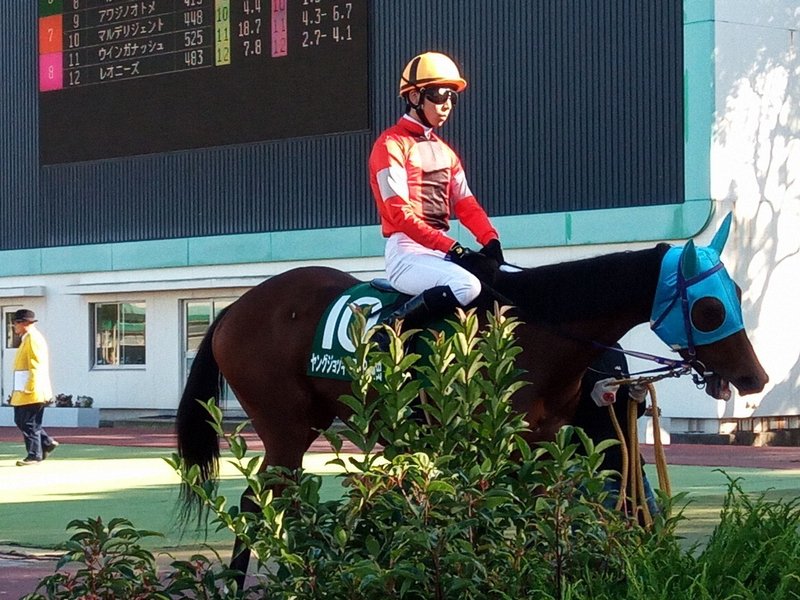 19 11 06 園田競馬 ヤングジョッキーズシリーズ観戦 バシポン Note