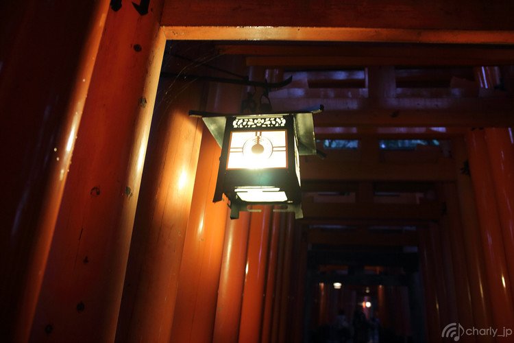 京都市内を廻って夕刻、伏見稲荷に戻ってきました。夜の伏見稲荷はガラっと姿を変えるとの事なので、それを撮ってみようと。