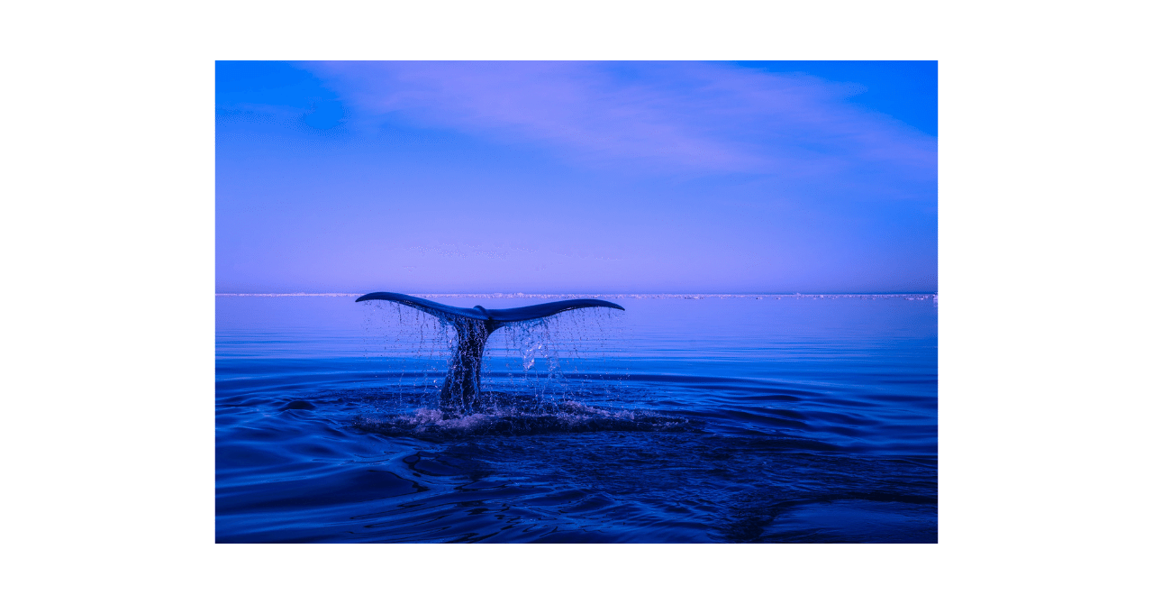 MacでDocker上の共有フォルダが開けない｜lop-eared