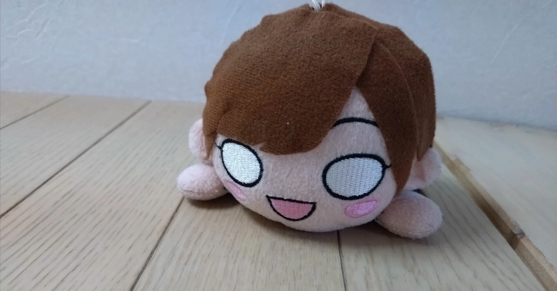 【寝そべりさうちぷ】 ハンドメイド オリジナル ぬいぐるみ 自作ぬいぐるみ お手軽？】自作寝そべりぬいぐるみ製作日記｜ろーし