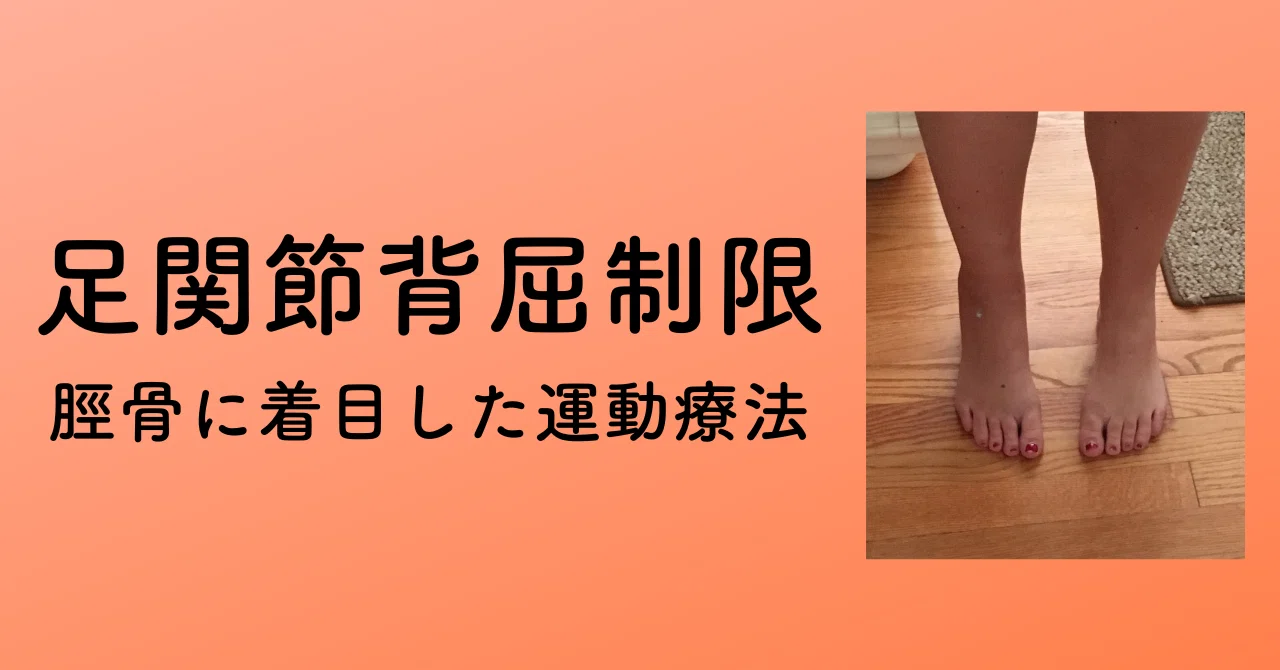 ゆきまる　 膝関節、脊柱、足関節理学療法マネジメント メジカルビュー社 | 理学療法マネジメント