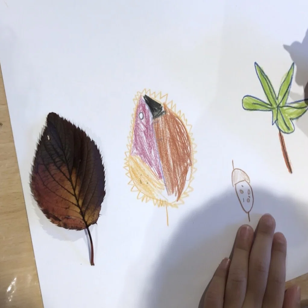 幼児期のデッサン のススメ 田中 令 Umum Note