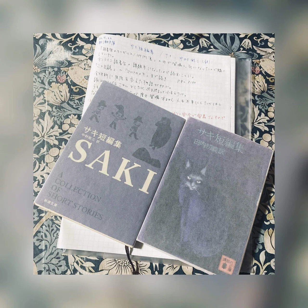 サキ短編集/サキ、中村能三(訳)・田内初義(訳)｜菜穂ーなおー