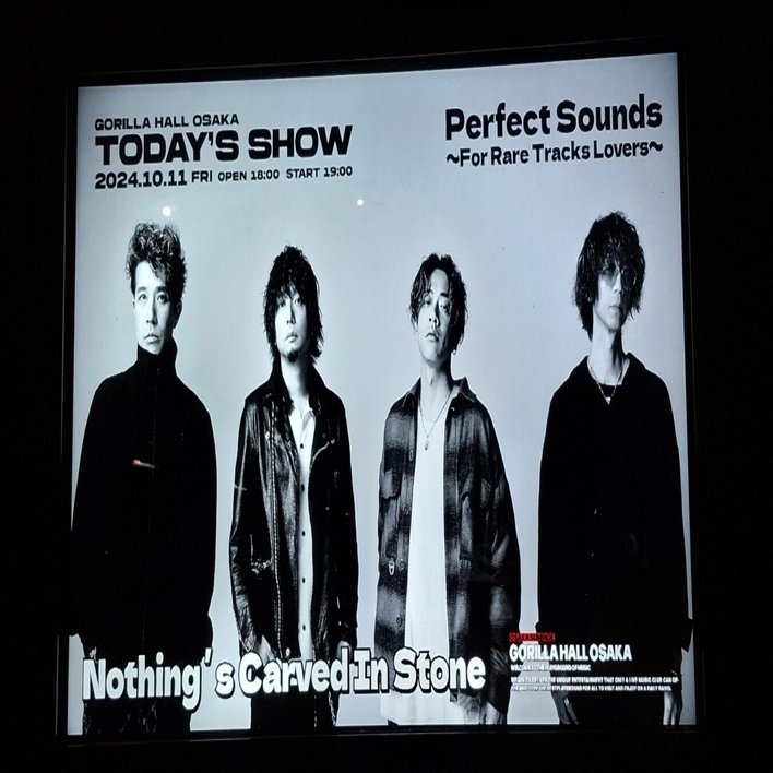 Nothingʼs Carved In Stone “Perfect Sounds 〜For Rare Tracks Lovers