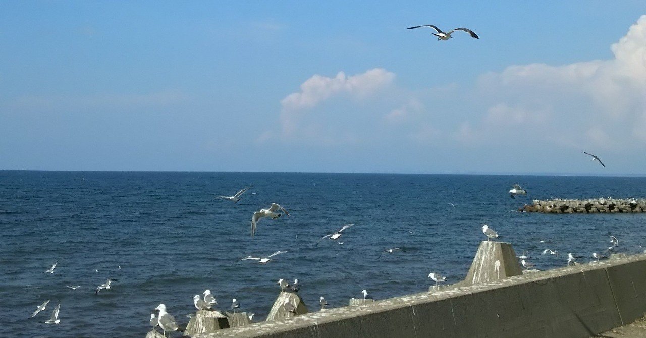 適職診断 芸術家 シゲク Note毎日更新で人生が変わった人 Note