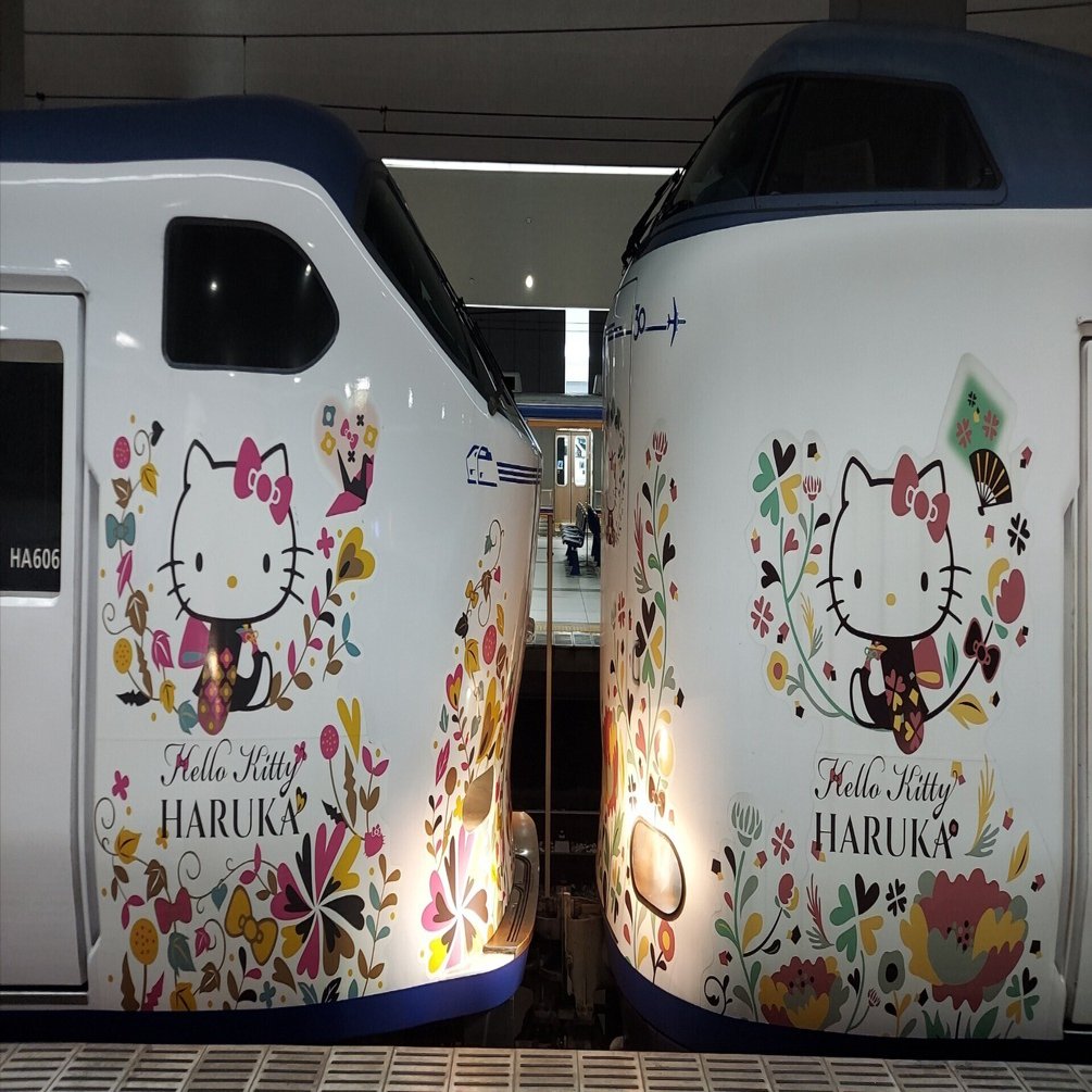 2024年9月7日(土) 関西国際空港 開港30周年 特別セレモニー｜難波桜