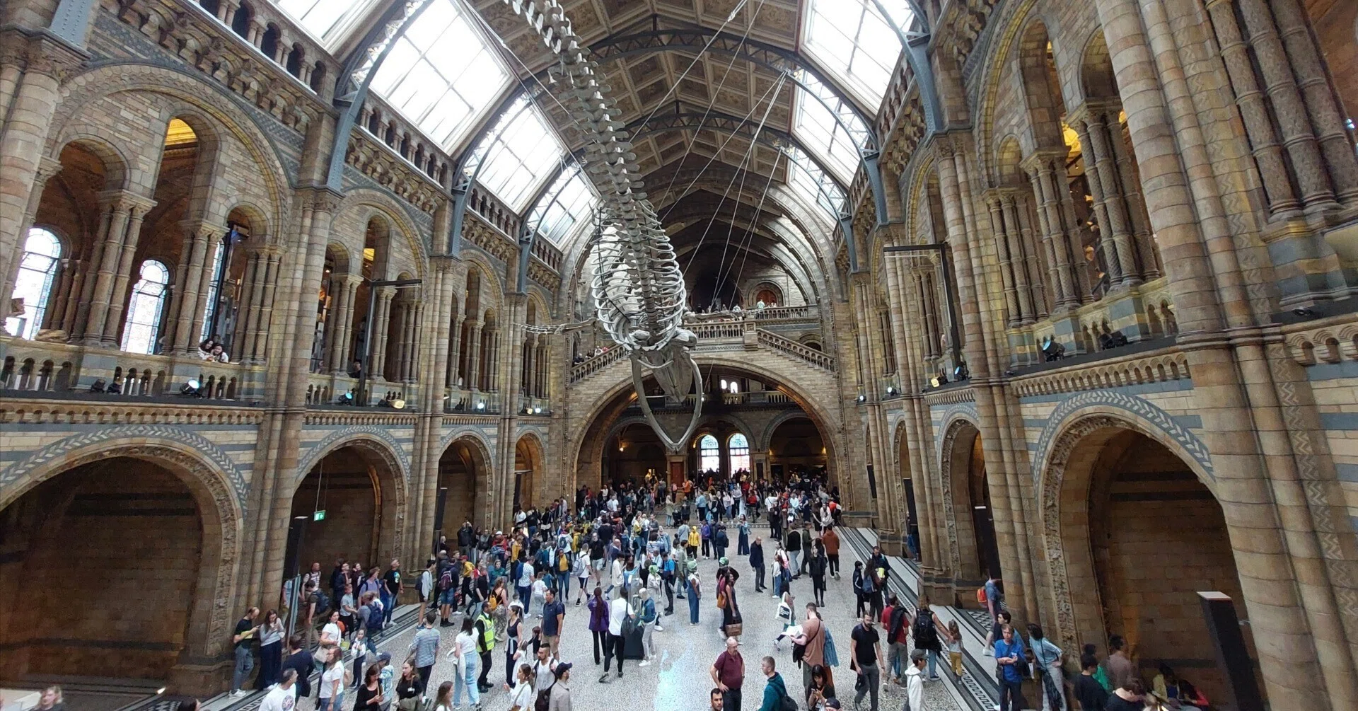 我が家のイギリス旅行記#14 第5日 後編 ロンドン自然史博物館｜Sano