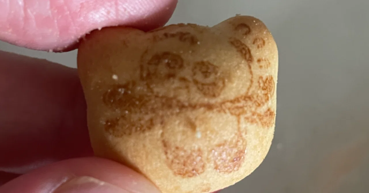 パンダのマーチ 中国で見つけた「パンダのマーチ」の謎｜華村＠中国