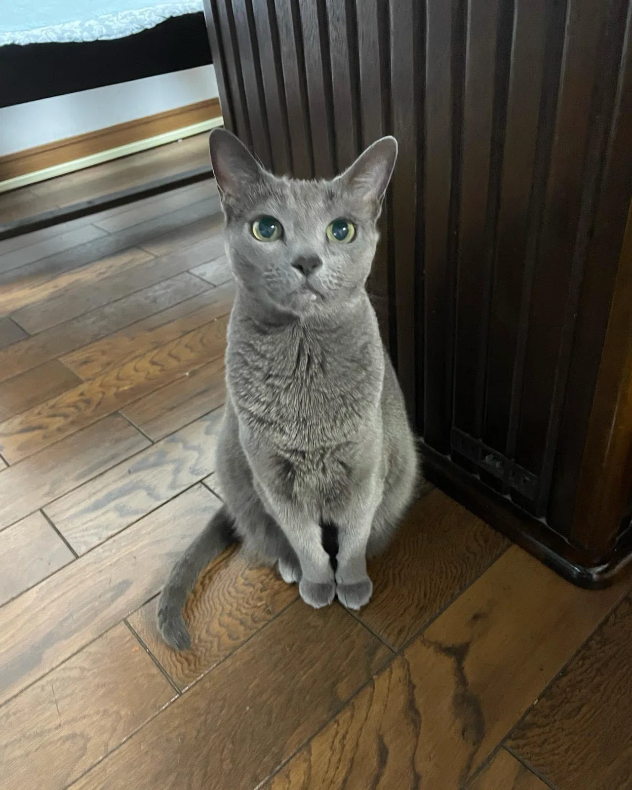 もふもふの季節が近づきつつある｜merci