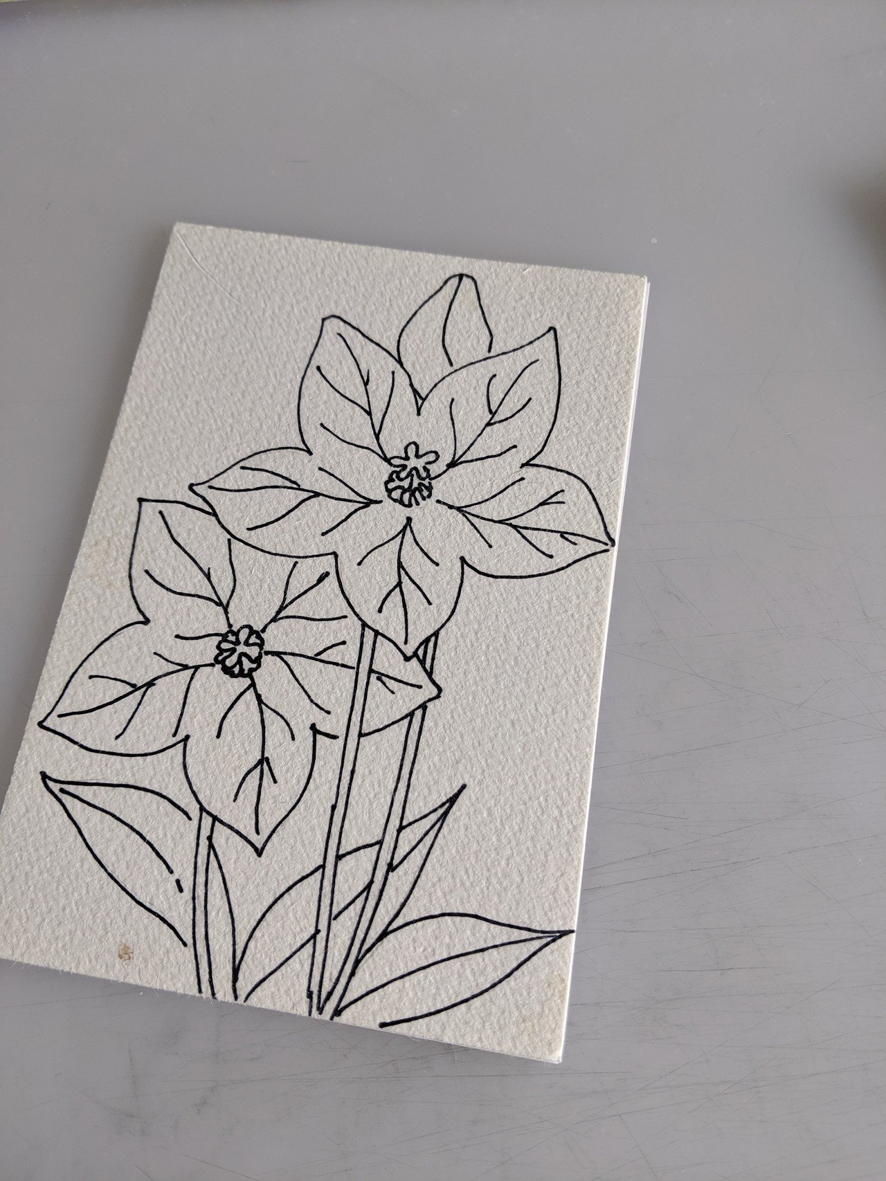 おかん用にかんたんな塗り絵作成してます 探すのに疲れたし 自分で作った方が早いわと思い至り マンダラモドキとか制作中 笑い猫 猫とお絵描き Note