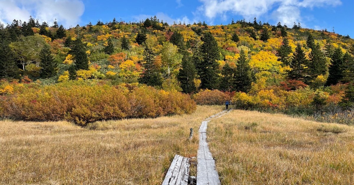 奥入瀬 八甲田山 紅葉 大型風景画 油彩 F20号 【公式通販】