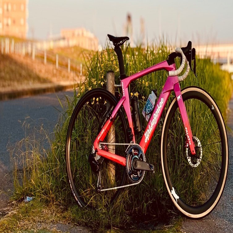 ELVES FALATH EVO+ でみんゴルバイクを作るまで｜しろねこ