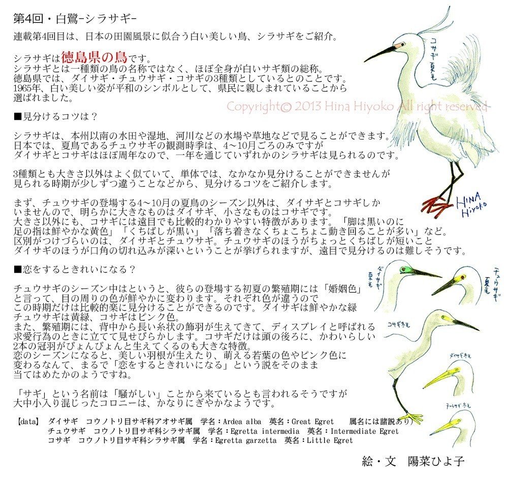 ダメダメな私にチカラをくれた編集さんの言葉 陽菜ひよ子 イラストレーター 漫画家 まちづくりジャーナリスト Note