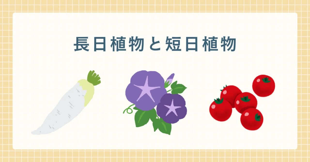 Short-day plants and long-day plants｜アブシシン酸