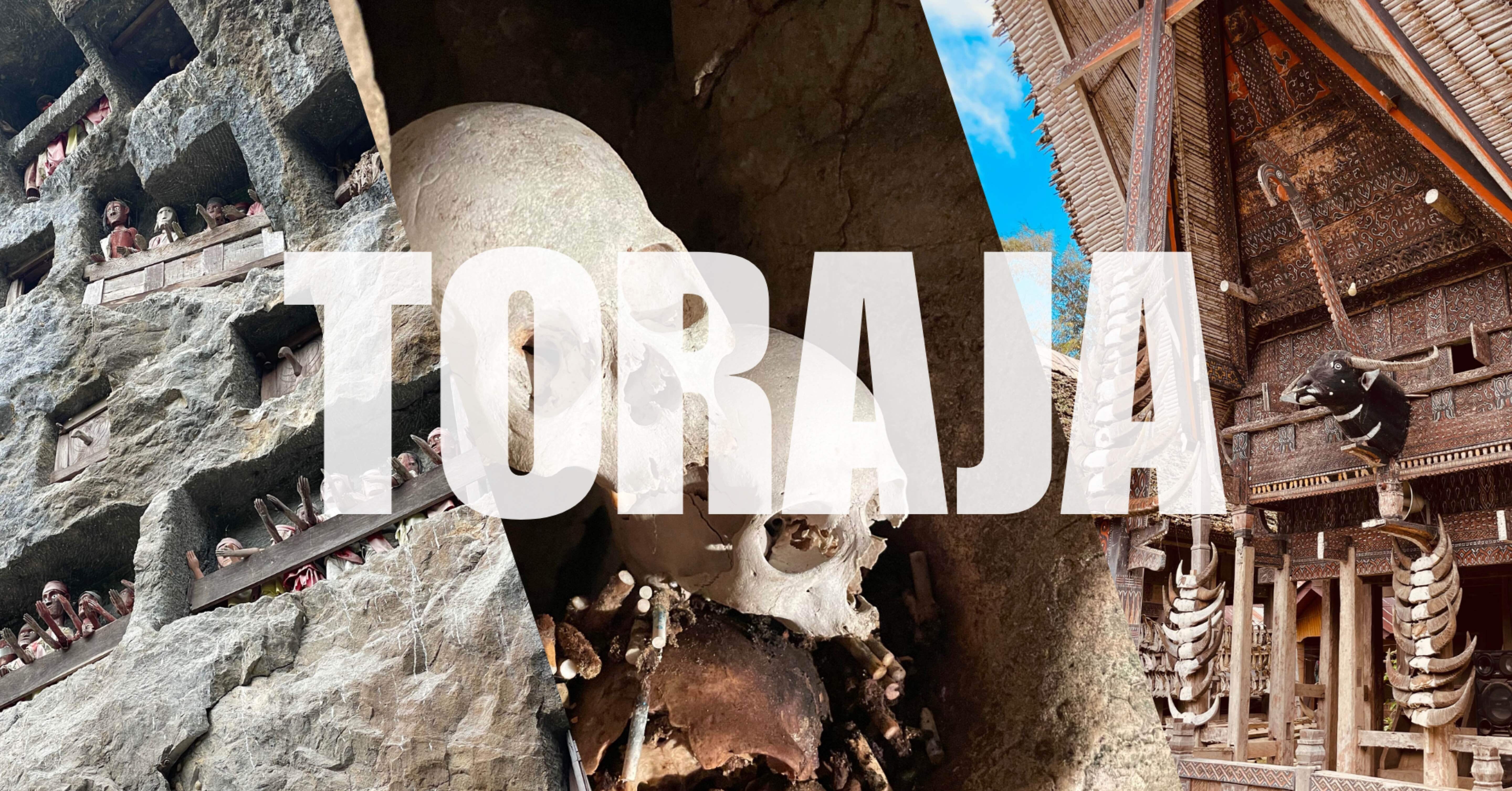 インドネシア】トラジャ観光まとめ｜スラウェシ島の歩き方