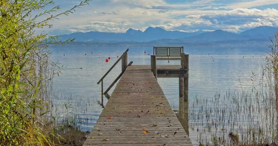 人生の折り返し地点 で新たなチャレンジ 水野達男氏のマラリアへの挑戦から学んだこと Hana Chan Note