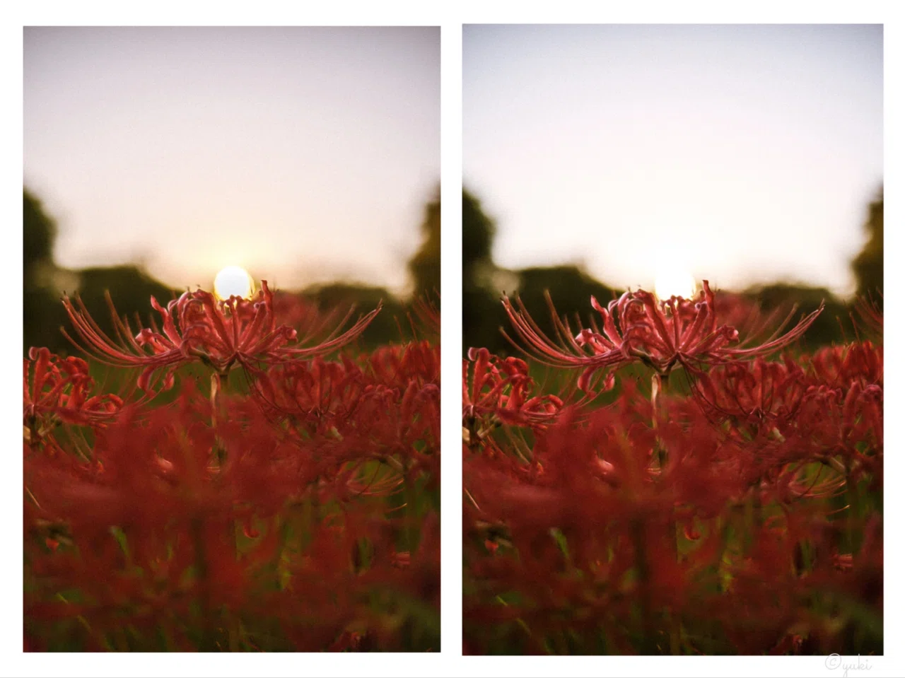 The Monochrome Revolution: Breaking Free from 