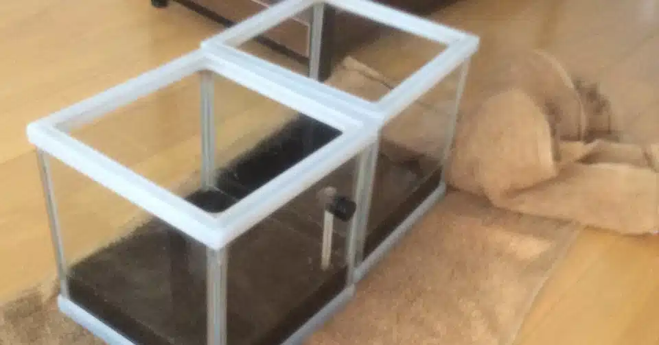 カエルの部屋掃除とコミュニケーション Maru Maru Note