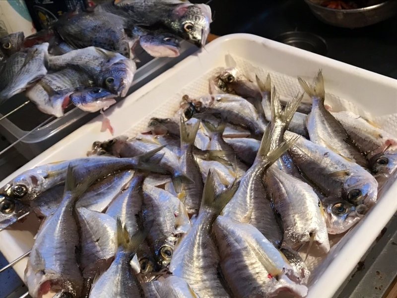鹿児島料理記録 魚介編 もったいない料理人 みっきー Note 鹿児島料理記録 魚介編 もったいない料理人 みっきー Note