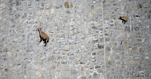 fbef01b6691bb5b68b107712a12e41