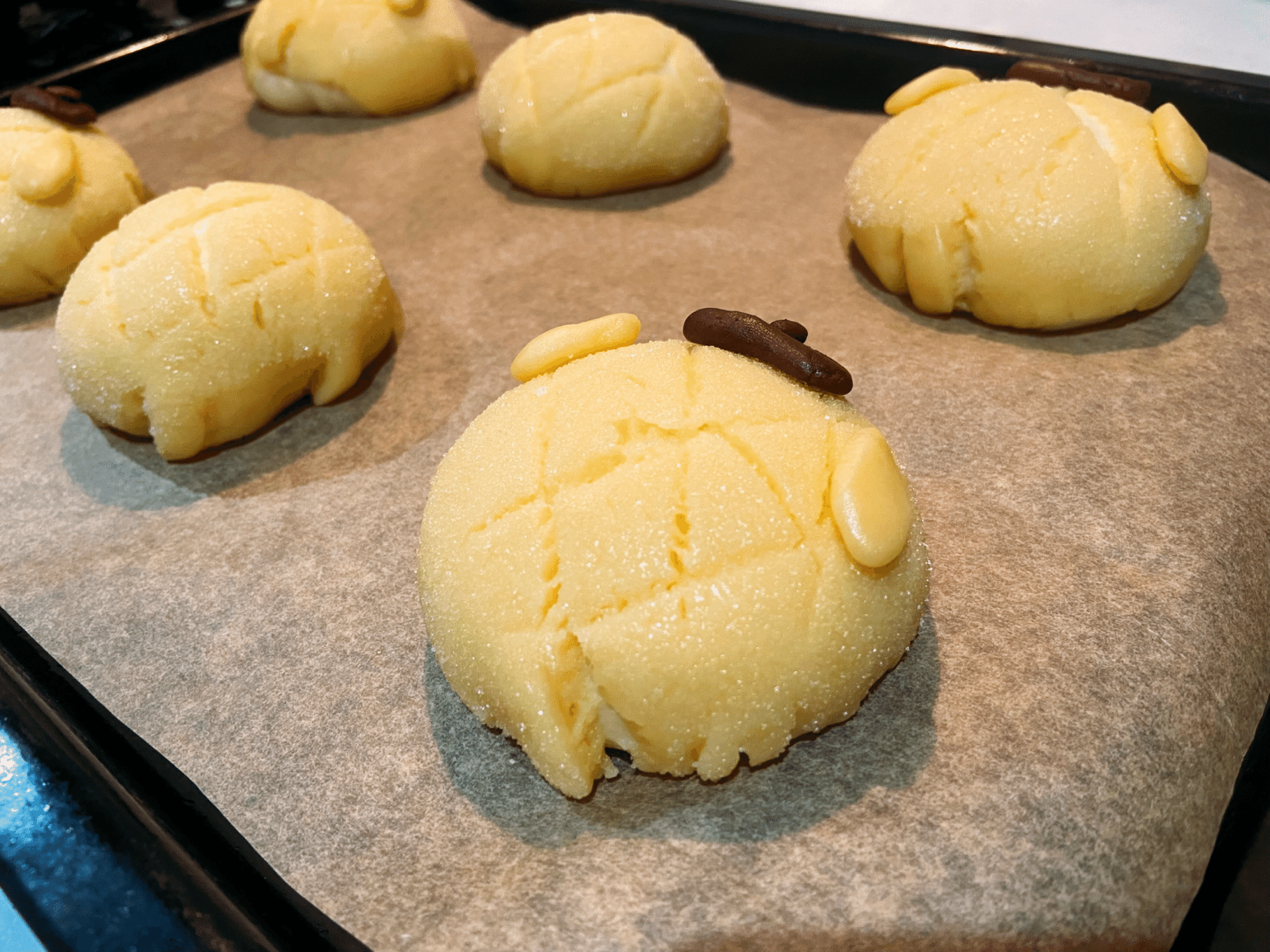 2024/10/15 「ポムポムプリンメロンパン」｜moimoi