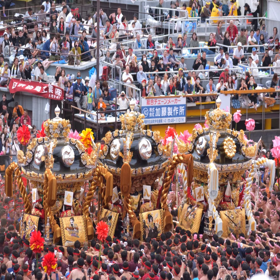 播磨の祭礼:灘のけんか祭り 本宮 2024.10.15｜姫路いきもの写真