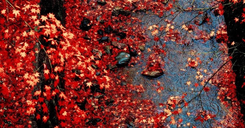 ちはやぶる神代も聞かず竜田川 からくれなゐに水くくるとは Maria Note