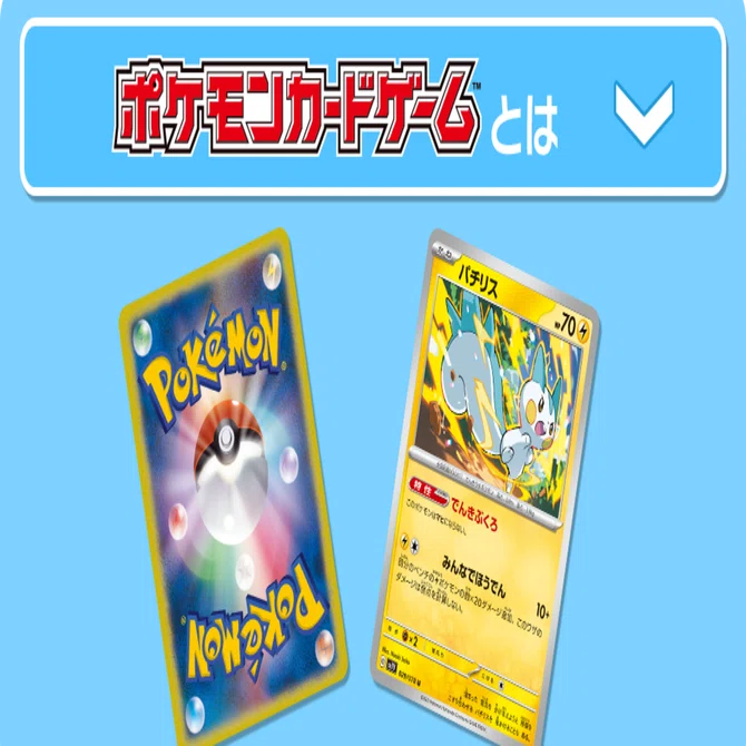 ワンピースカードプレイヤーによるポケモンカードすすめ｜KC