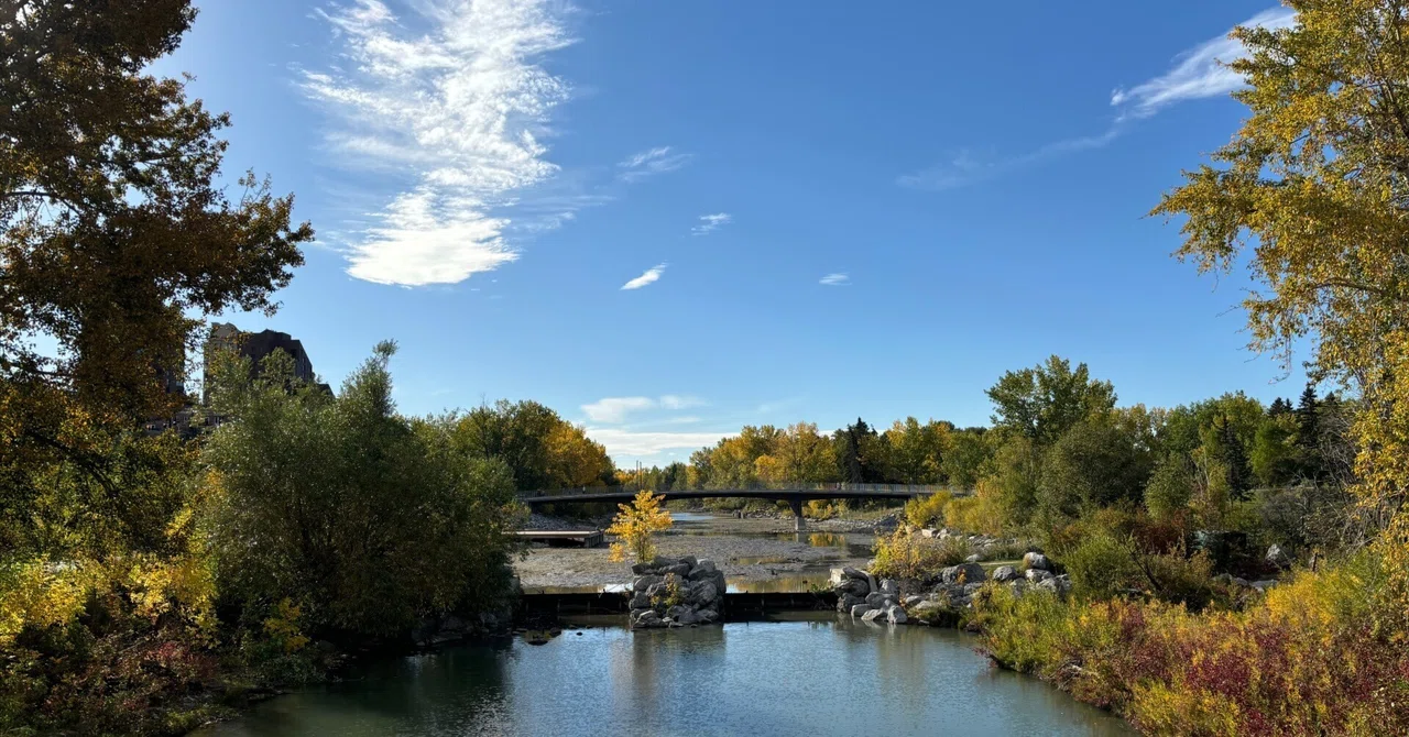 Rectangle Calgary Calgaryへ。|treeposetomo